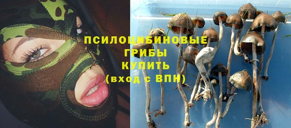 мдпв Вяземский